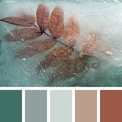 清新治愈系配色方案