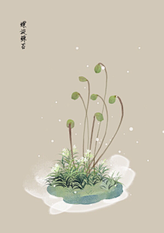 芍药居一霸采集到不知道叫啥名