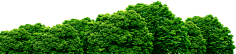Leaf大小姐采集到绿色植物+花鸟