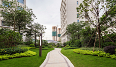 入冬阳光采集到植物造景