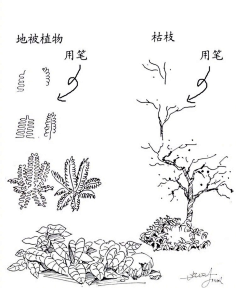 朵境采集到X 绘画原理