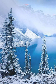 远山流水采集到冰天雪地