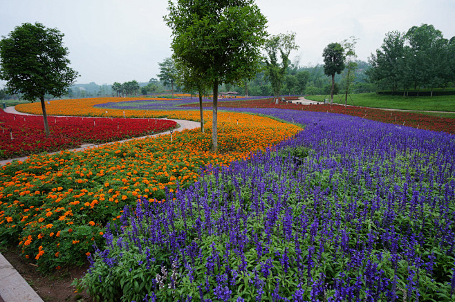 花海-花瓣网|陪你做生活的设计师 | 京观筑景观规划设计院]_城市广场