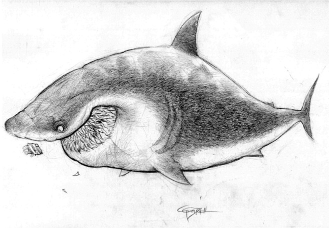 02-23 03:41:29开放季节animal_y鱼虾晕深深同采自cartergoodrich