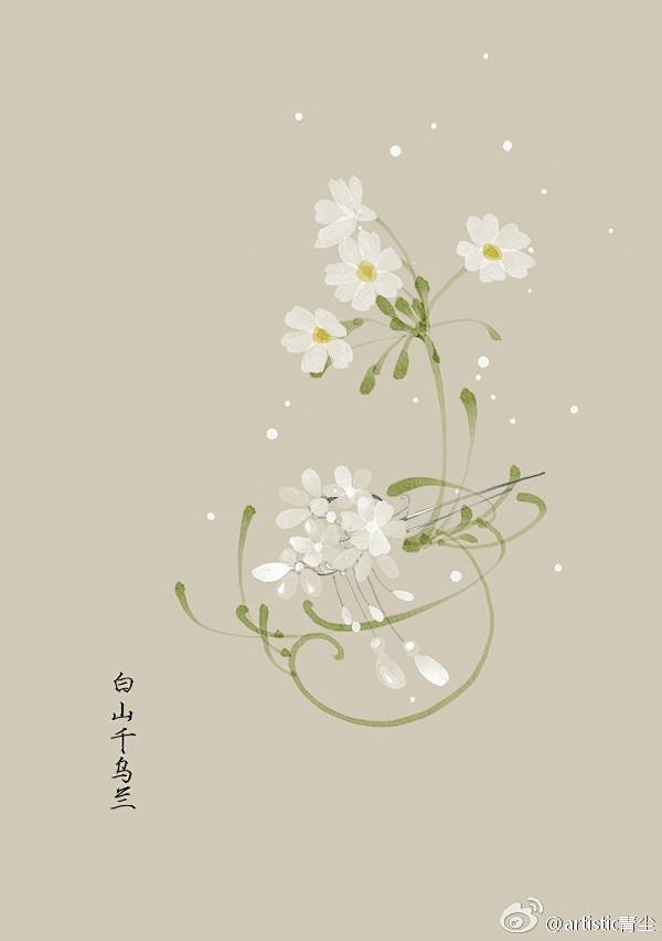 365天生日花 5月19日白山千乌兰花语 丽质天生5月日粟树花花语 恶作剧