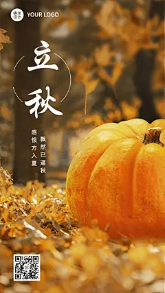 立秋节气祝福排版手机海报