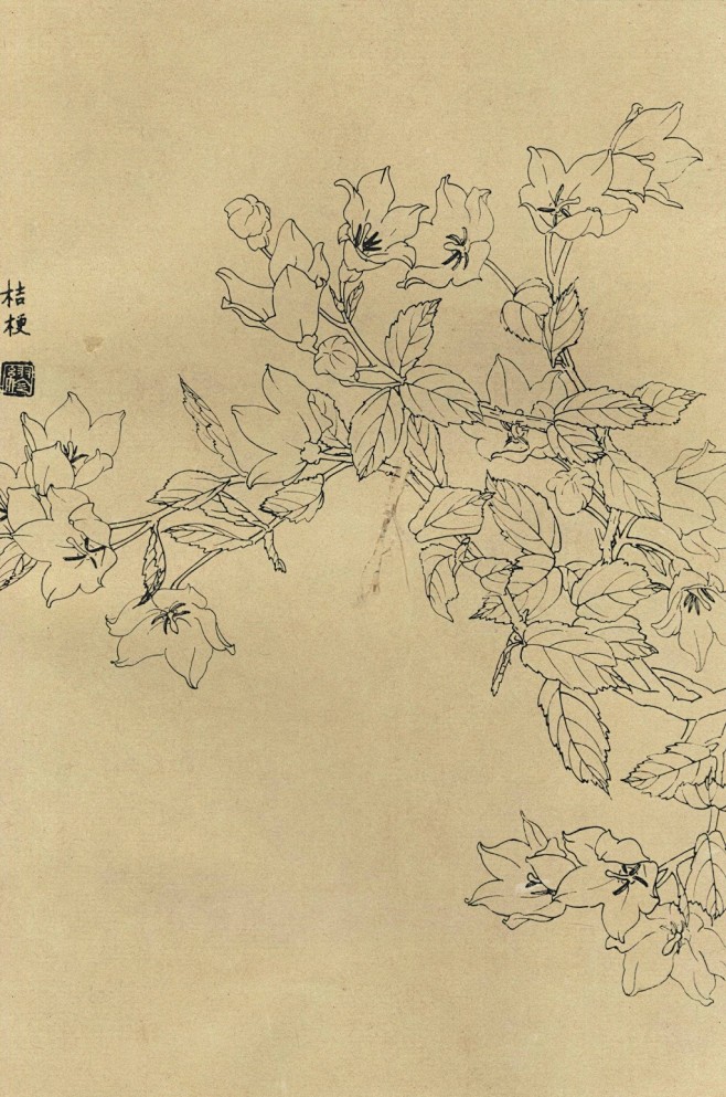 线描百花谱