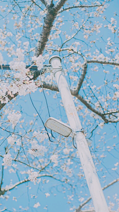浮白°°采集到壁纸 _ 手机