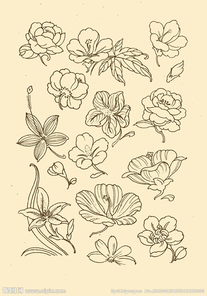 花卉纹样种类图片