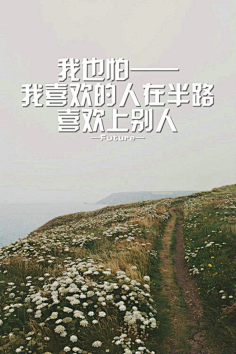 浮世未歇采集到文字控