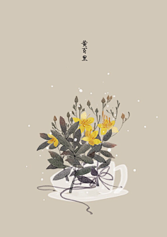 芍药居一霸采集到不知道叫啥名