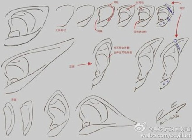 绘画教程精灵耳