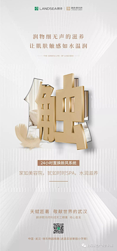 龙飞凤采集到海报