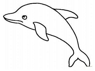 白海豚简笔画图片