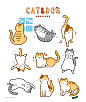 卡通可爱猫猫狗狗宠物元素插画