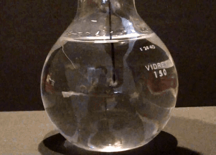 1 photo.renren.com 杨思淼采集到动态图科普 采集 photo.renren.