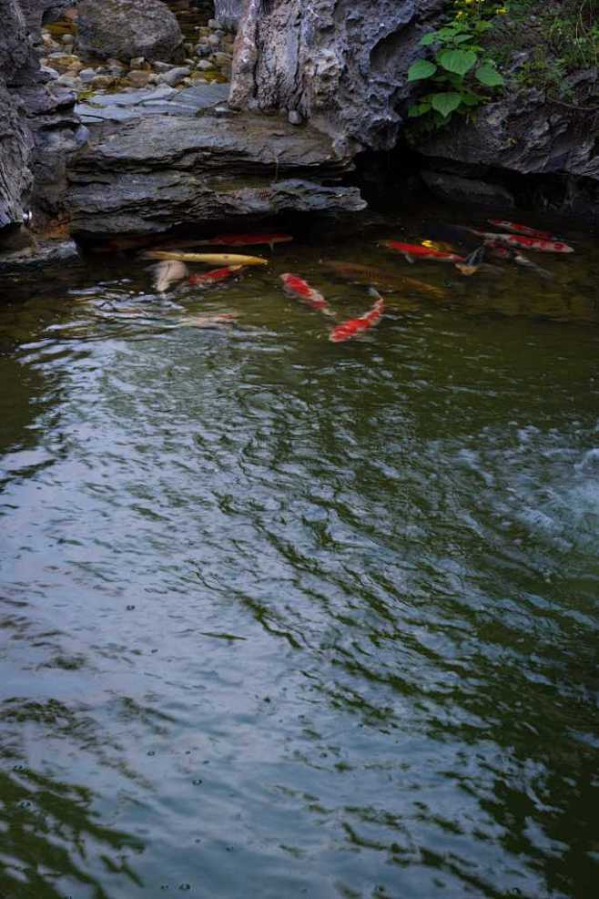 mooool Plainness Architectural Space Photogr