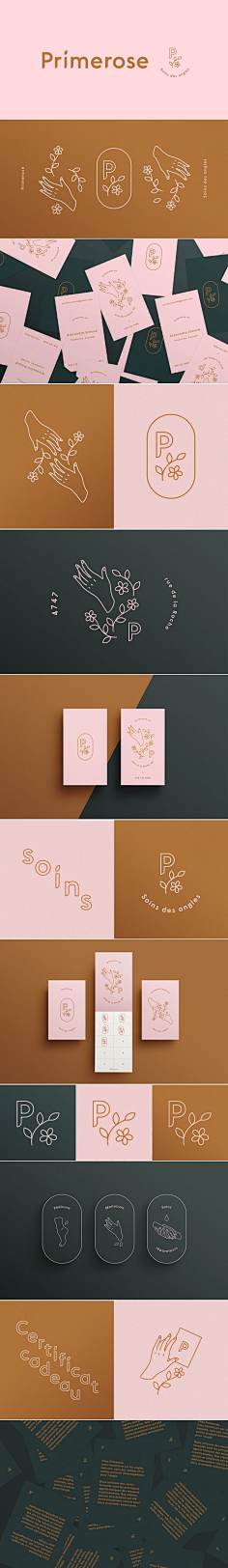 Cornelius采集到品牌设计