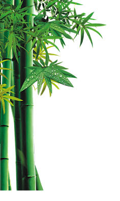 无e不设采集到植物