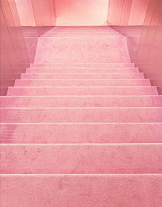 Jessica-Z7采集到W. The Hot Pink I have