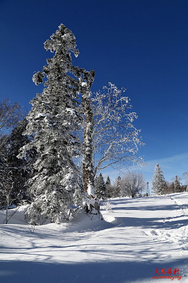 远山流水采集到冰天雪地