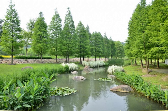 后滩公园(冬日)-西侧内河水系