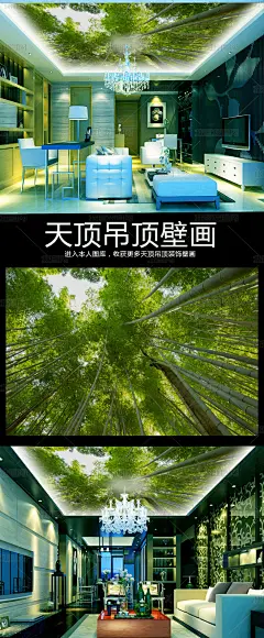 高清绿色竹林仰望天空天顶吊顶壁画