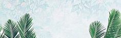 叶之无舞蝶采集到【海报banner】文艺/清新/简约
