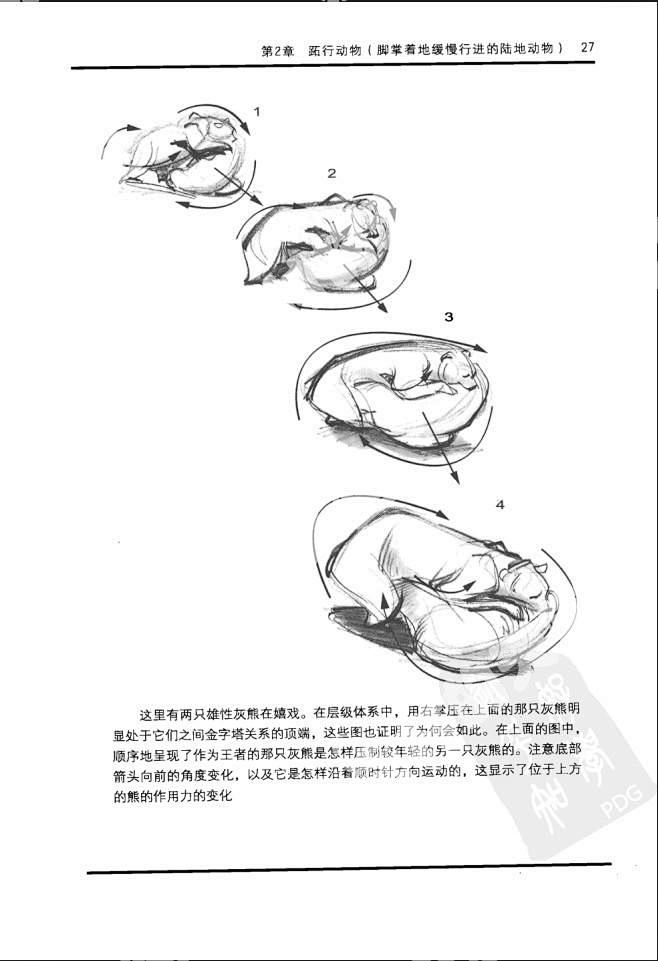 j36动物昆虫运动规律走路奔跑原画动画参考临摹动态分解图淘宝网