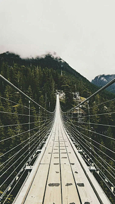 我不怀念采集到从开始到现在