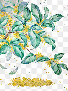 乌恰恰采集到插画
