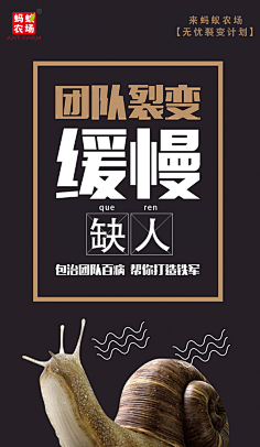 考大师~采集到网页