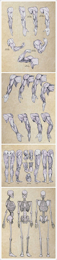 琅玉采集到绘画素材
