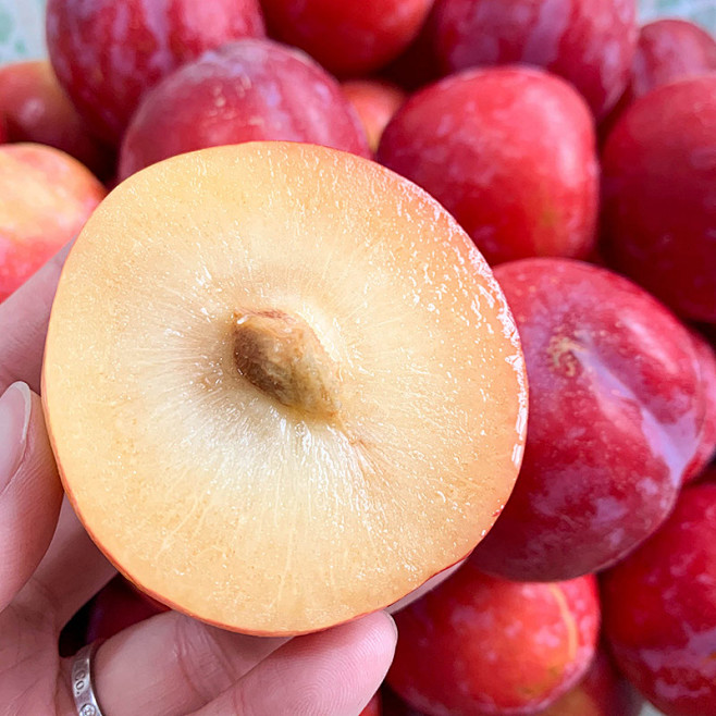 红布林031jpg800800