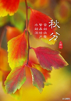 花瓣采集到花瓣说民俗