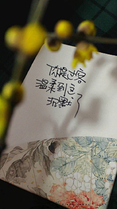 潘潘}采集到文痕