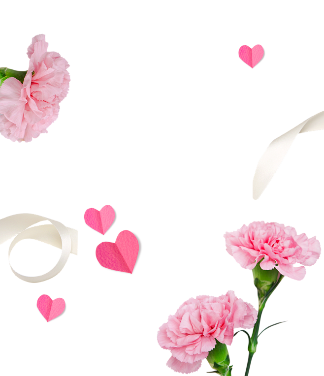 爱和感恩节 丝带 鲜花 png 免扣元素 ti375a630