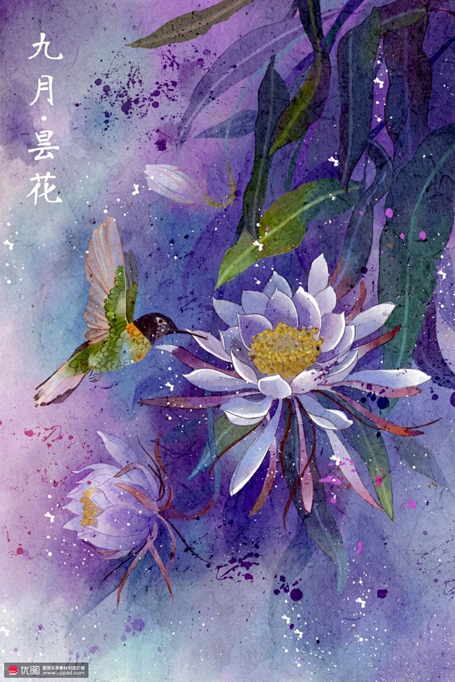 九月昙花国潮水墨水彩画十二月花语插画植物花卉其他植物