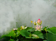 小雨点的心事采集到抽象派
