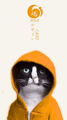 北燕南归采集到灵感