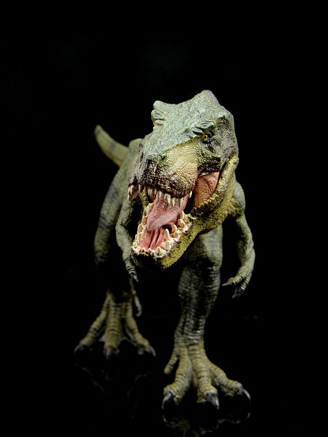 papo行走暴龙霸王龙无差别宅王无差别宅王の宅基地