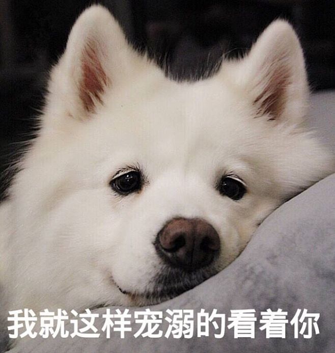 09:51:16我就这样宠溺的看着你表情包flamingo火烈鸟该采集也在以下