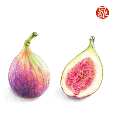 黄丝绿采集到彩铅
