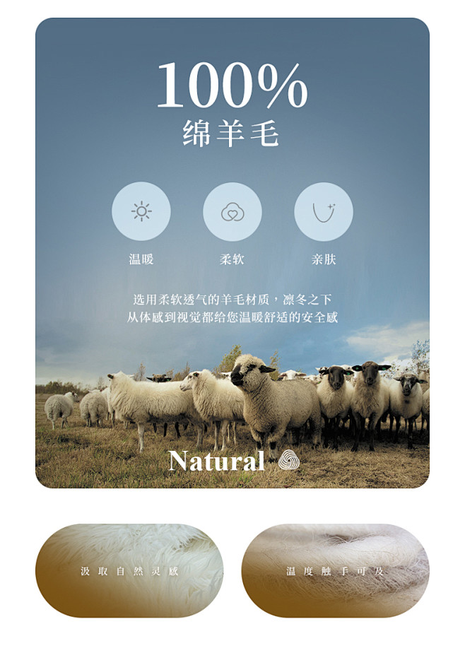 100%绵羊毛