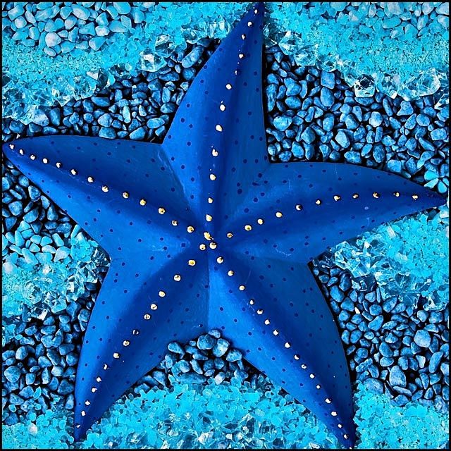 Blue Starfish