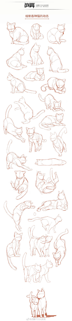 献计献策上纲上线采集到动物