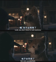迷路的鱼-采集到句子