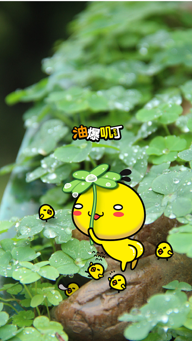 2gua采集到生活之韵