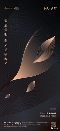 老李求官采集到地产 贰