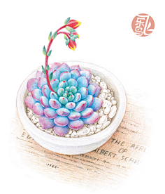 飞乐鸟采集到飞乐鸟插画篇
